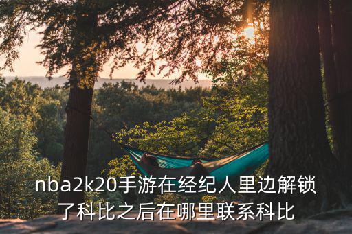 2k20手游怎么选择年代，NKA2K20手游生涯模式日期最后一个点不到怎么办