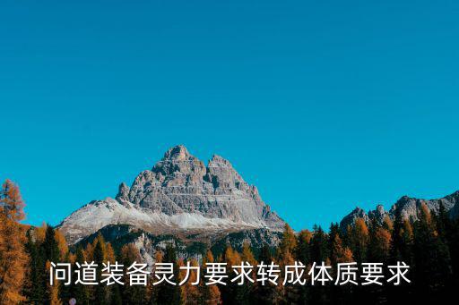 问道装备灵力要求转成体质要求