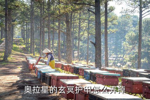 奥拉星的玄冥护甲怎么弄掉