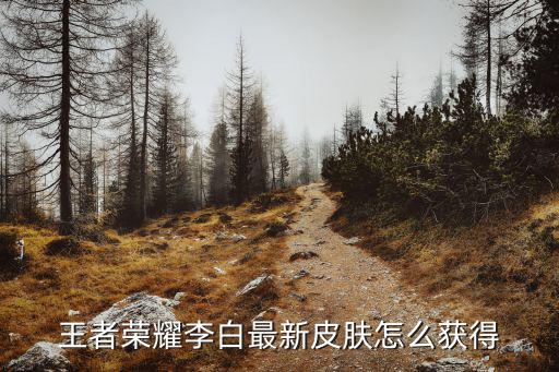 王者荣耀李白最新皮肤怎么获得