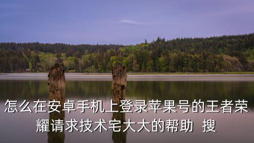 怎么在安卓手机上登录苹果号的王者荣耀请求技术宅大大的帮助  搜