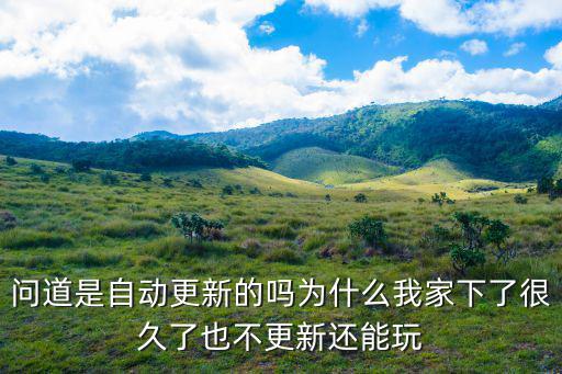 问道是自动更新的吗为什么我家下了很久了也不更新还能玩