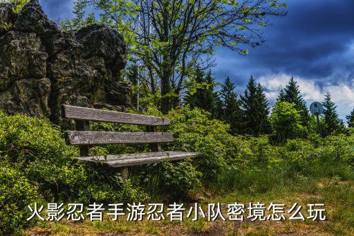 火影忍者手游忍者小队密境怎么玩