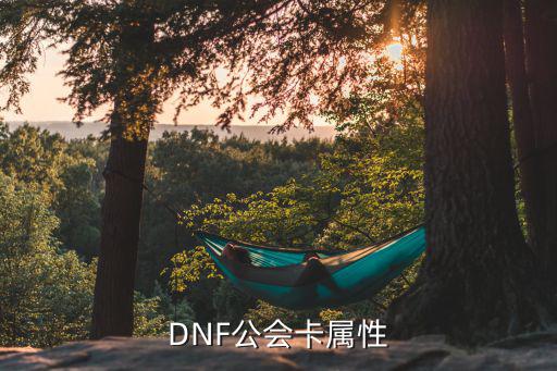 dnf公会卡属性是什么，DNF公会卡属性