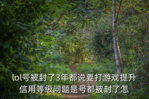 lol手游信用等级3怎么解除，信用记录如何解除