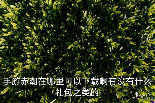 手游赤潮在哪里可以下载啊有没有什么礼包之类的