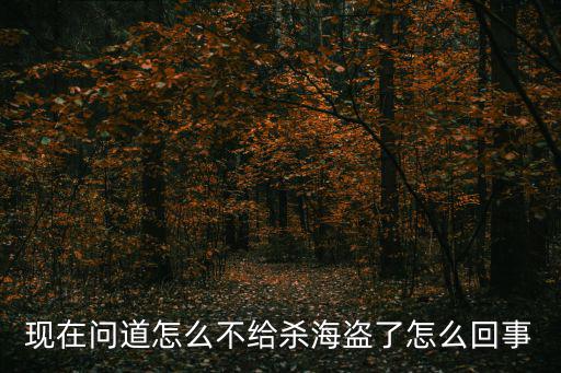 现在问道怎么不给杀海盗了怎么回事