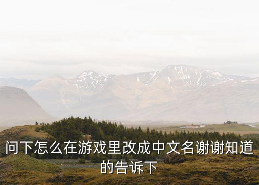 问下怎么在游戏里改成中文名谢谢知道的告诉下