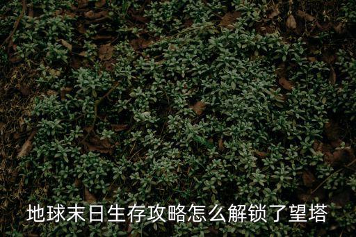 地球末日生存攻略怎么解锁了望塔