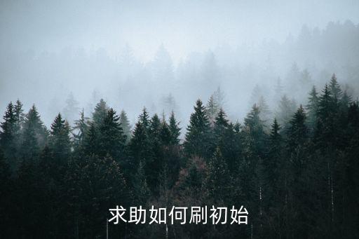 求助如何刷初始