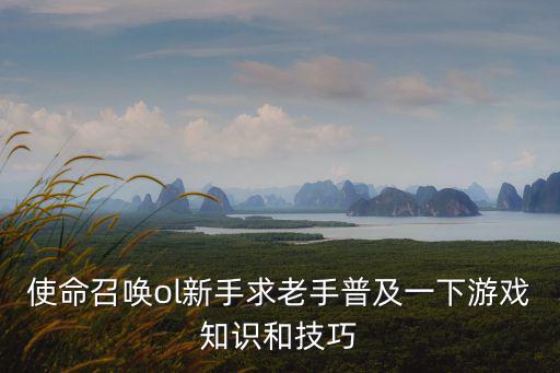 使命召唤ol新手求老手普及一下游戏知识和技巧