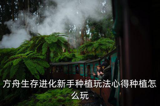 新手该怎么玩方舟手游，方舟生存进化新手加点攻略 怎样加点比较好