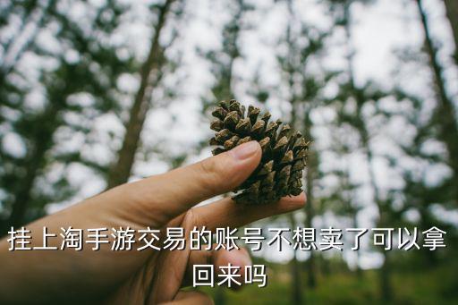 淘手游买了不想要了怎么申请，挂上淘手游交易的账号不想卖了可以拿回来吗