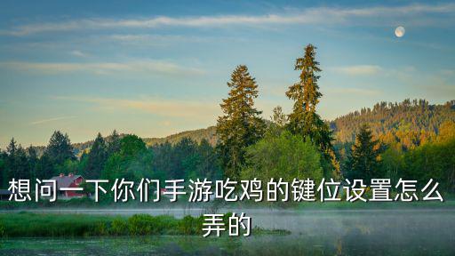 想问一下你们手游吃鸡的键位设置怎么弄的