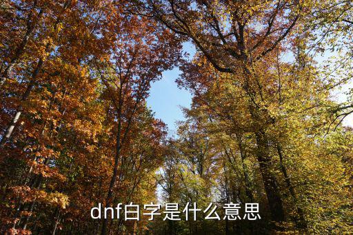 dnf白字指的什么属性，dnf白字是什么意思