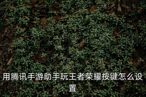 用腾讯手游助手玩王者荣耀按键怎么设置