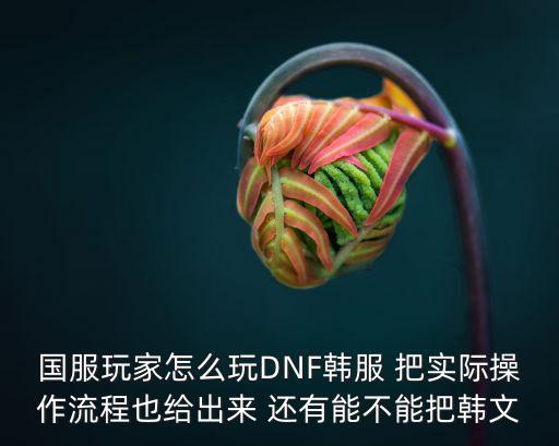 dnf韩服手游怎么设置成中文，韩国地下城与勇士手机版怎么汉化