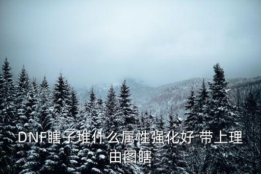 DNF瞎子堆什么属性强化好 带上理由图瞎