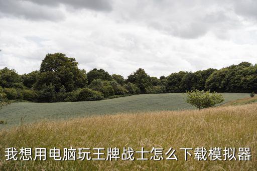 我想用电脑玩王牌战士怎么下载模拟器