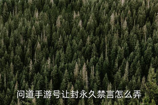 问道手游号让封永久禁言怎么弄