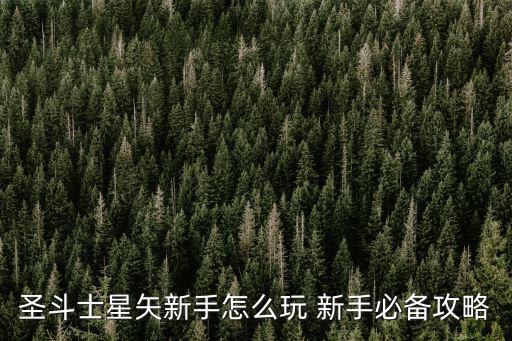 圣斗士星矢新手怎么玩 新手必备攻略
