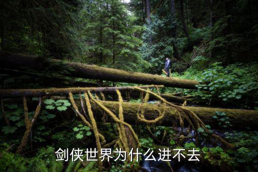 剑侠世界为什么进不去