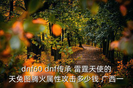 dnf60 dnf传承 雷霆天使的天兔图腾火属性攻击多少钱 广西一
