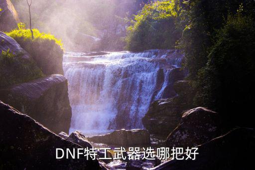 dnf特工武器选什么属性，dnf特工武器附什么属