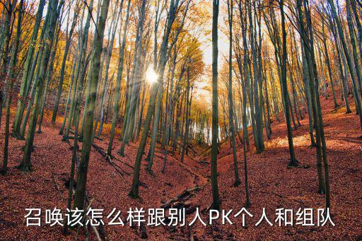 神秘召唤手游要怎么跟队友pk，怎么和队友pk pk开关怎么开