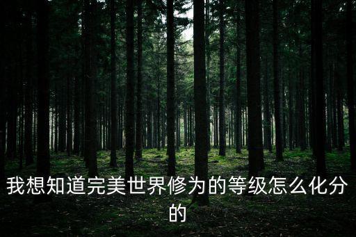 我想知道完美世界修为的等级怎么化分的