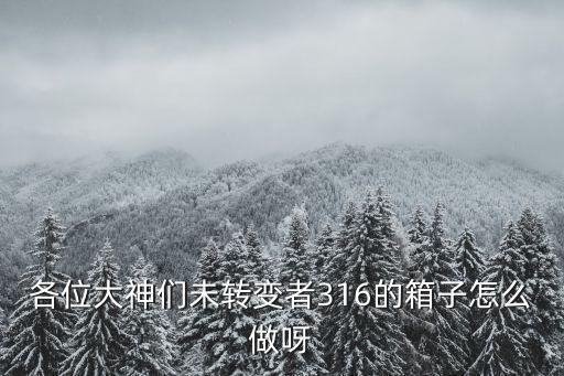 各位大神们未转变者316的箱子怎么做呀