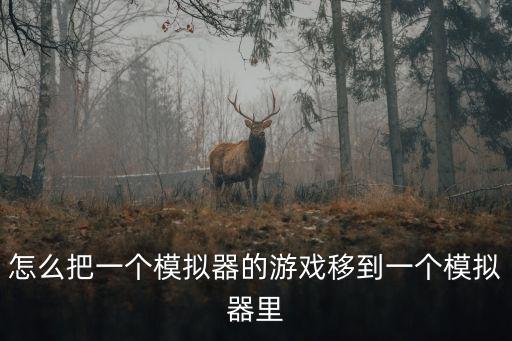 怎么把一个模拟器的游戏移到一个模拟器里