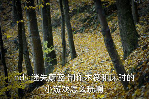 nds 迷失蔚蓝 制作木筏和床时的小游戏怎么玩啊