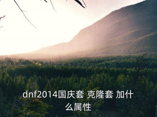 dnf2014国庆套 克隆套 加什么属性
