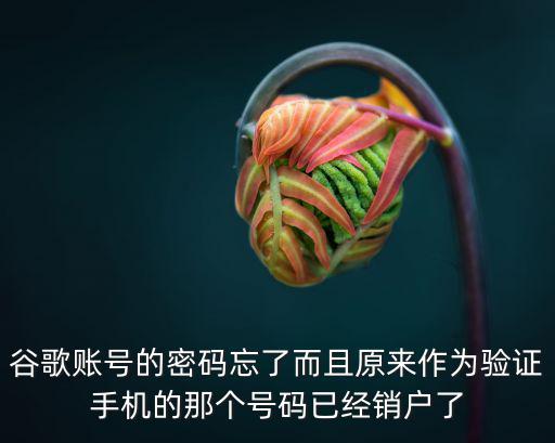 谷歌账号的密码忘了而且原来作为验证手机的那个号码已经销户了