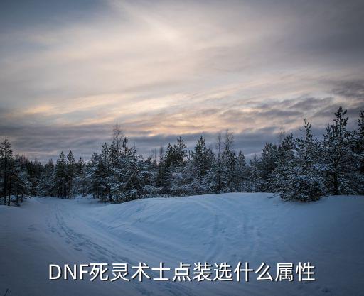 dnf死灵术士加什么属性，dnf85死灵术士属性强化堆什么