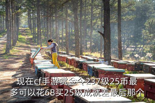 现在cf手游赏金令237级25币最多可以花68买25级成就差最后那个