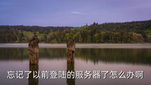 忘记了以前登陆的服务器了怎么办啊