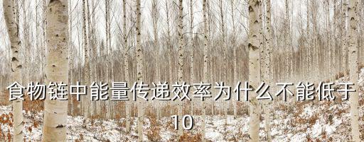 食物链中能量传递效率为什么不能低于10