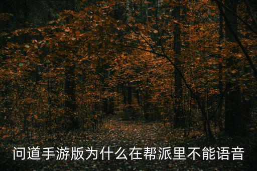 问道手游版为什么在帮派里不能语音