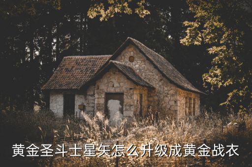 黄金圣斗士星矢怎么升级成黄金战衣
