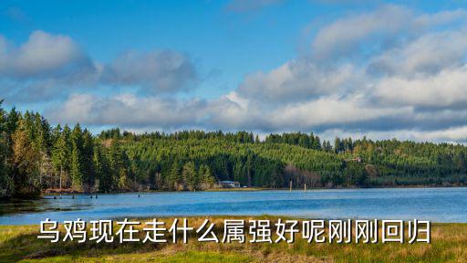 乌鸡现在走什么属强好呢刚刚回归