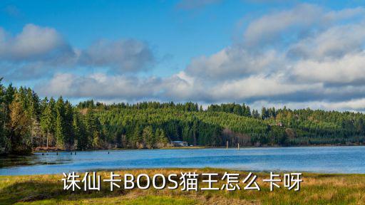 诛仙卡BOOS猫王怎么卡呀