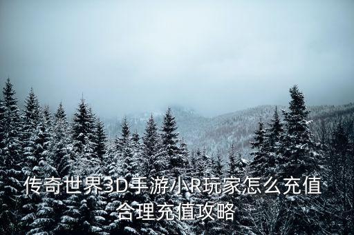 传奇手游怎么充值比较划算，热血传奇手机版哪里充值便宜