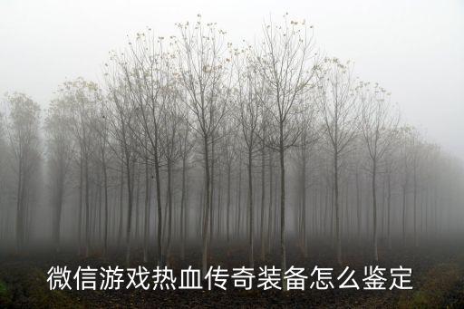 网络游戏装备怎么鉴定价值，微信游戏热血传奇装备怎么鉴定