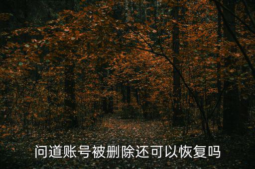 问道账号被删除还可以恢复吗