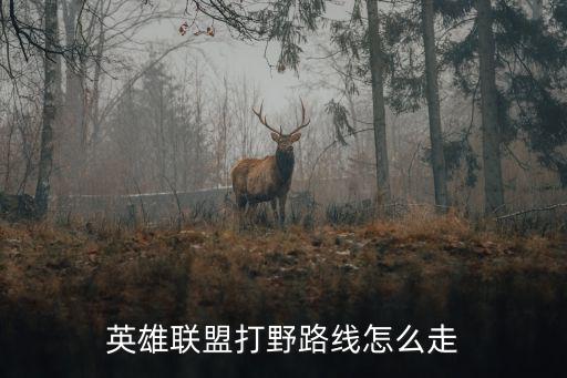 英雄联盟打野路线怎么走