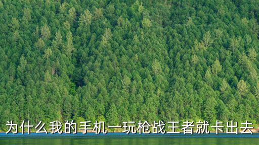为什么我的手机一玩枪战王者就卡出去
