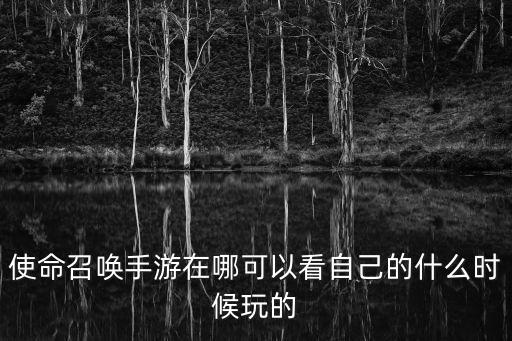 使命召唤手游在哪可以看自己的什么时候玩的