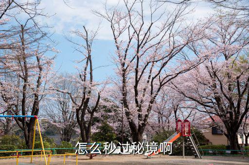 怎么秒过秘境啊